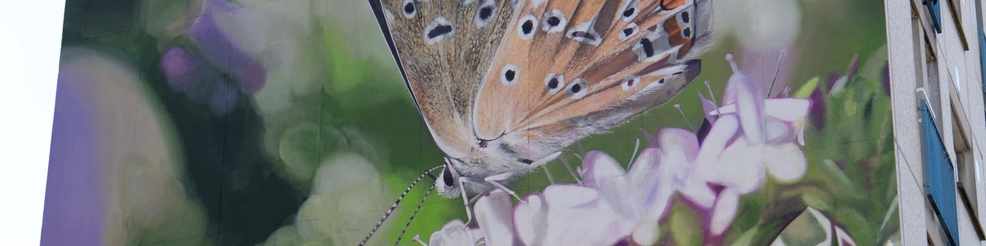 Mantra est un artiste urbain contemporain connu pour ses fresques monumentales inspirées de la nature, notamment des insectes et des oiseaux. Son travail mêle réalisme, poésie et engagement écologique, transformant les murs en œuvres vivantes. À travers ses créations, il sensibilise le public à la beauté et à la fragilité du vivant.